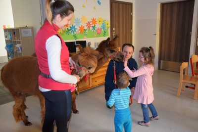 Obraz galerii