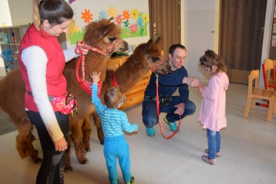 Obraz galerii