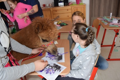 Obraz galerii