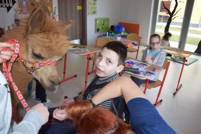 Obraz galerii