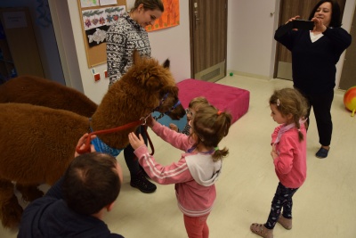 Obraz galerii
