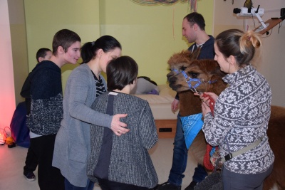 Obraz galerii