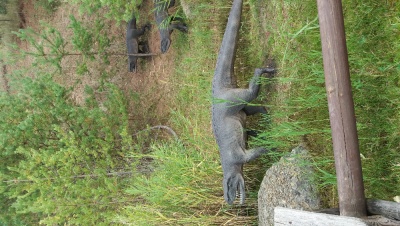 Obraz galerii