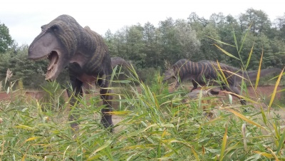 Park Dinozaurów - Krasiejów