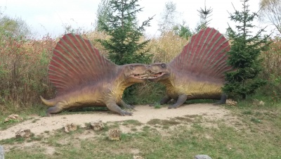 Obraz galerii