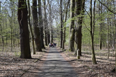 Obraz galerii