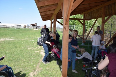 Obraz galerii