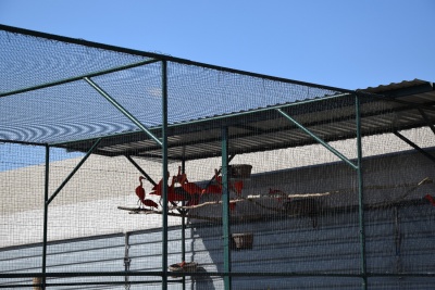 Obraz galerii