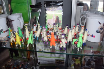 Obraz galerii