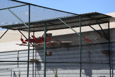 Obraz galerii