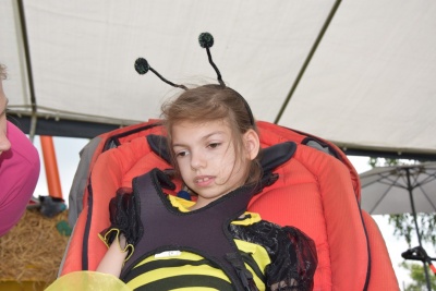 Obraz galerii