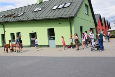 Obraz galerii