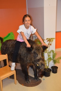 Obraz galerii