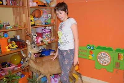 Obraz galerii