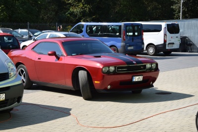 Obraz galerii