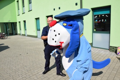 Obraz galerii