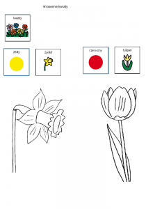 karta-pracy WIOSENNE KWIATY.png