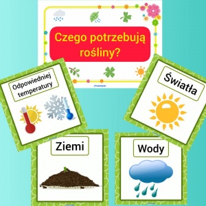 czego potrzebują rośliny.jpg